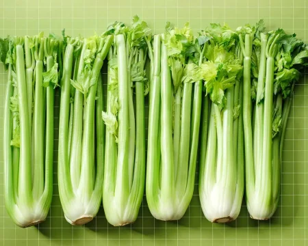 Celery